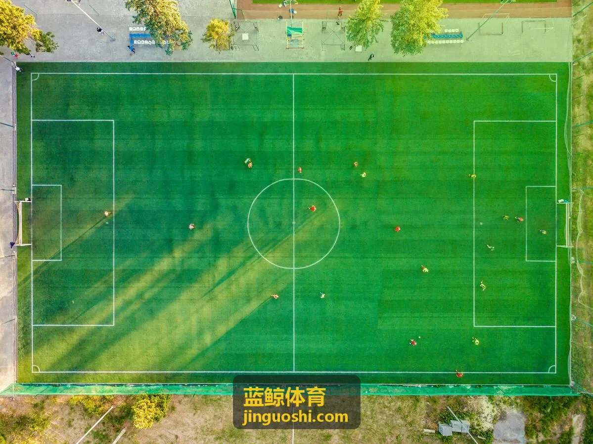 蓝鲸体育抽象鲸鱼与运动剪影