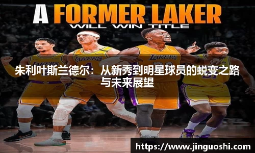 朱利叶斯兰德尔：从新秀到明星球员的蜕变之路与未来展望